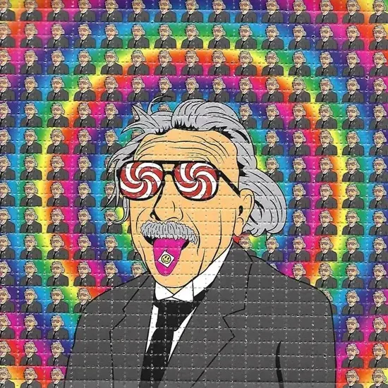 lsd kopen