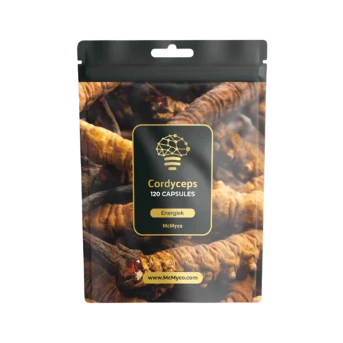 cordyceps medicinale paddenstoelen