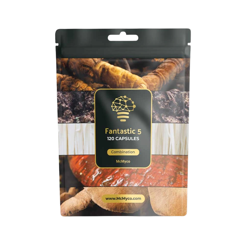 fantastic 5 medicinale paddenstoelen