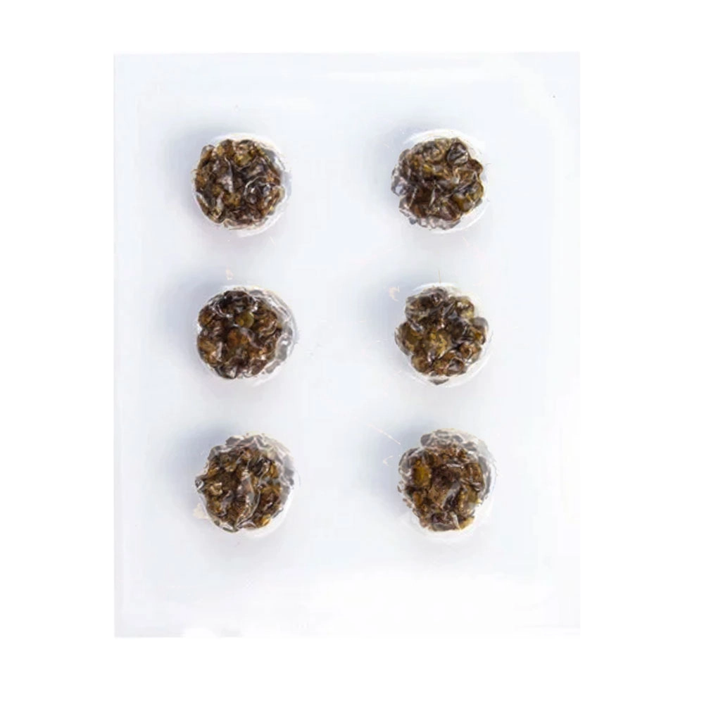 Truffels microdosing 6x1 gram