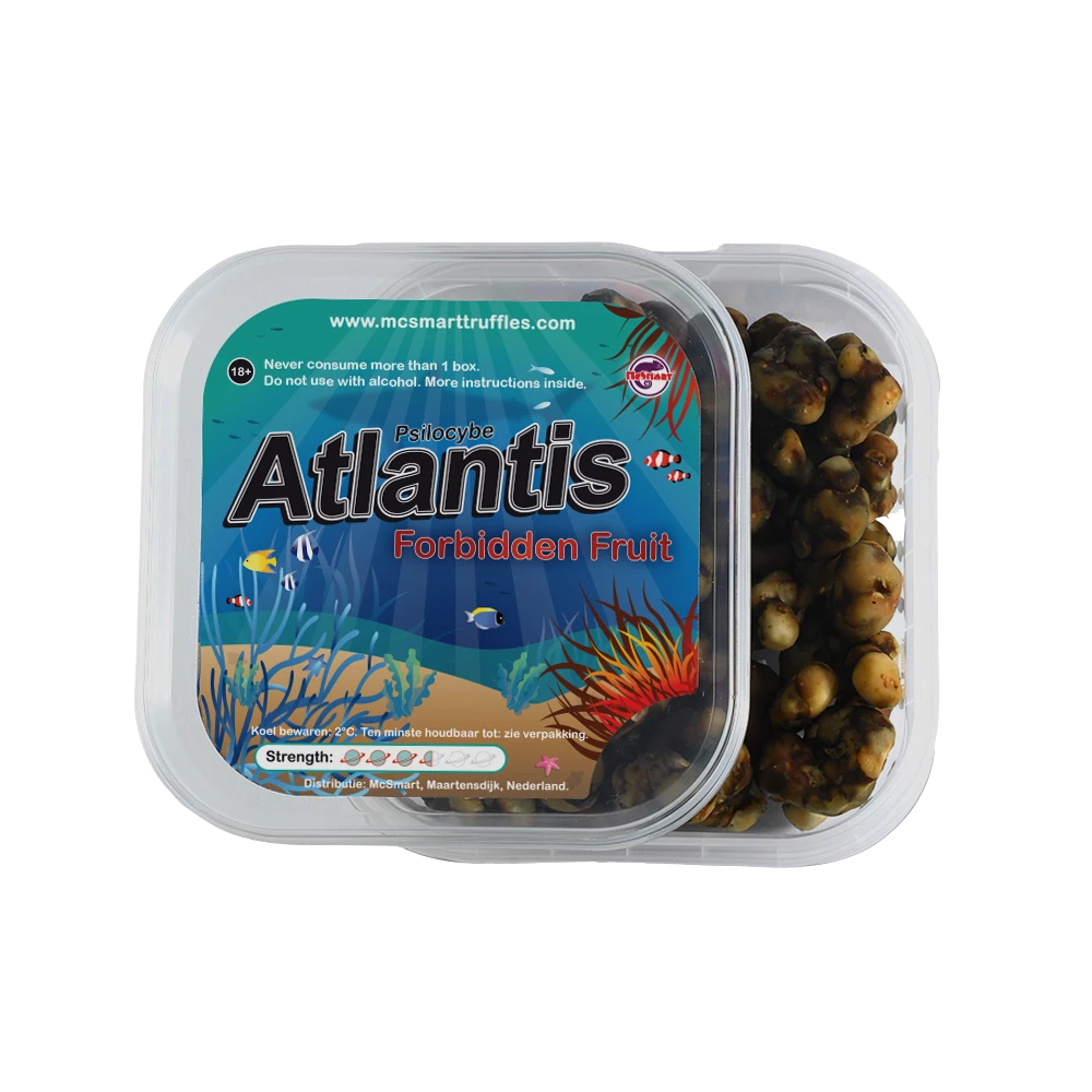 magic truffels atlantis open