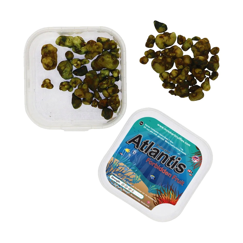 Atlantis magic truffels