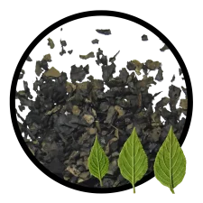 salvia divinorum kopen